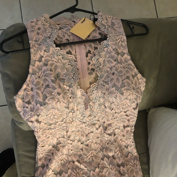 Beautiful pale pink and silver lace midi dress. - Picture 4 of 4